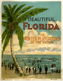 Island Cove honors Florida flora and fauna on its 6th anniversary