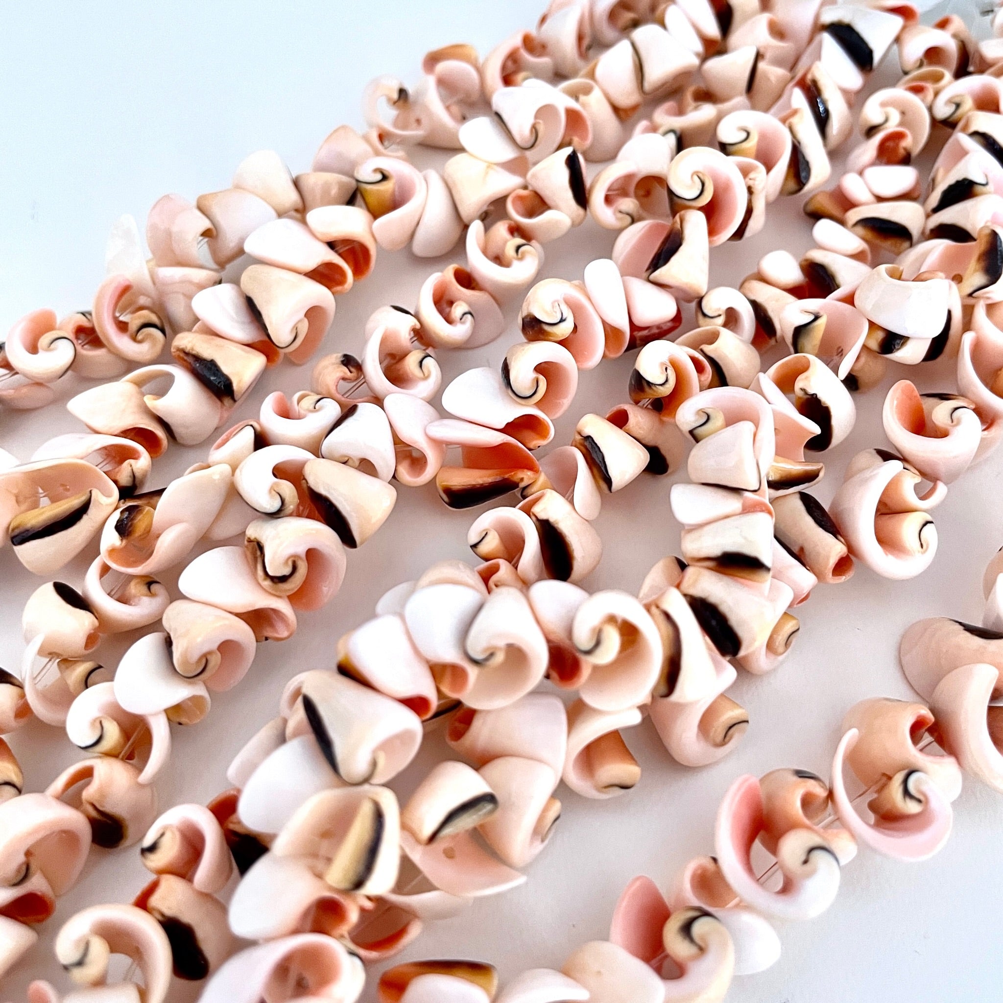 Shell Beed Red Lip Luhuanos Shell Bead - Island Cove Beads & Gallery